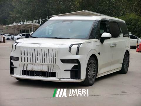2023 Zeekr 009 WE Edition