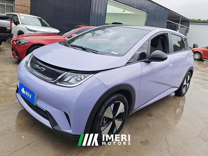 BYD Dolphin 420km Fashion Edition - ავტომობილი ჩინეთიდან
