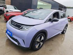 BYD Dolphin 420km Fashion Edition - ფოტო 1