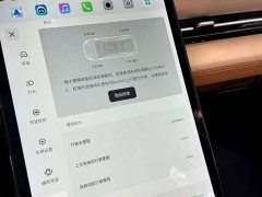 XPeng P5 2021 550E - ფოტო 13