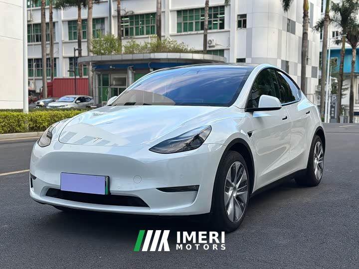 Tesla Model Y Standard Range RWD - ავტომობილი ჩინეთიდან