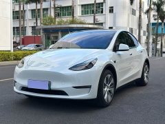 Tesla Model Y Standard Range RWD - ფოტო 1