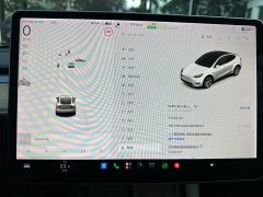 Tesla Model Y Standard Range RWD - ფოტო 20