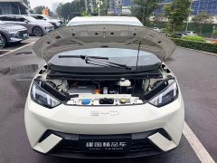 BYD Seagull Freedom Edition - ფოტო 19