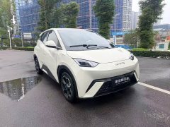 BYD Seagull Freedom Edition - ფოტო 3