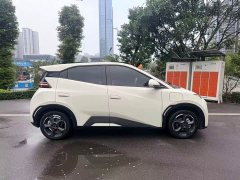 BYD Seagull Freedom Edition - ფოტო 4
