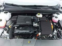 BYD Destroyer 05 Glory Edition DM-i 55KM Luxury - ფოტო 10