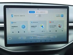 BYD Destroyer 05 Glory Edition DM-i 55KM Luxury - ფოტო 13