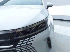 BYD Destroyer 05 Glory Edition DM-i 55KM Luxury - ფოტო 5