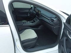 BYD Destroyer 05 Glory Edition DM-i 55KM Luxury - ფოტო 8