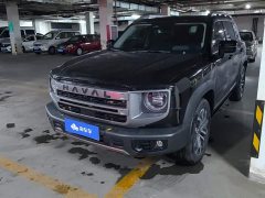 Great Wall Dachshund 1.5T DCT Border Collie Edition - ფოტო 1