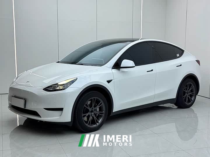 Tesla Model Y Rear-Wheel Drive