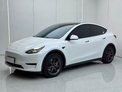 Tesla Model Y Rear-Wheel Drive - ფოტო 1
