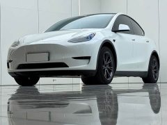 Tesla Model Y Rear-Wheel Drive - ფოტო 2
