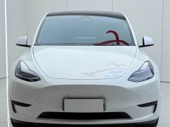 Tesla Model Y Rear-Wheel Drive - ფოტო 3