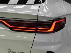 BYD Song Plus New Energy 2021 DM-i 110KM Flagship - ფოტო 7