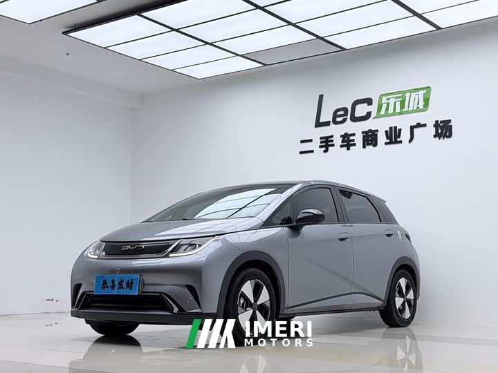 BYD Dolphin 420km Fashion Edition - ავტომობილი ჩინეთიდან