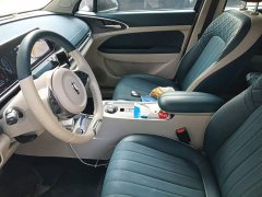 ORA Good Cat 400km Standard Range Luxury Lithium Iron Phosphate - ფოტო 11