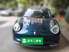 ORA Good Cat 400km Standard Range Luxury Lithium Iron Phosphate - ფოტო 2
