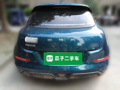 ORA Good Cat 400km Standard Range Luxury Lithium Iron Phosphate - ფოტო 3