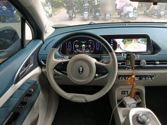 ORA Good Cat 400km Standard Range Luxury Lithium Iron Phosphate - ფოტო 6