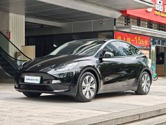 Tesla Model Y Rear-Wheel Drive - ფოტო 1