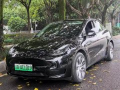 Tesla Model Y Rear-Wheel Drive - ფოტო 2