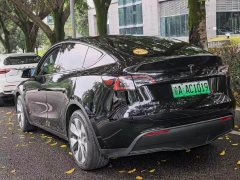 Tesla Model Y Rear-Wheel Drive - ფოტო 4