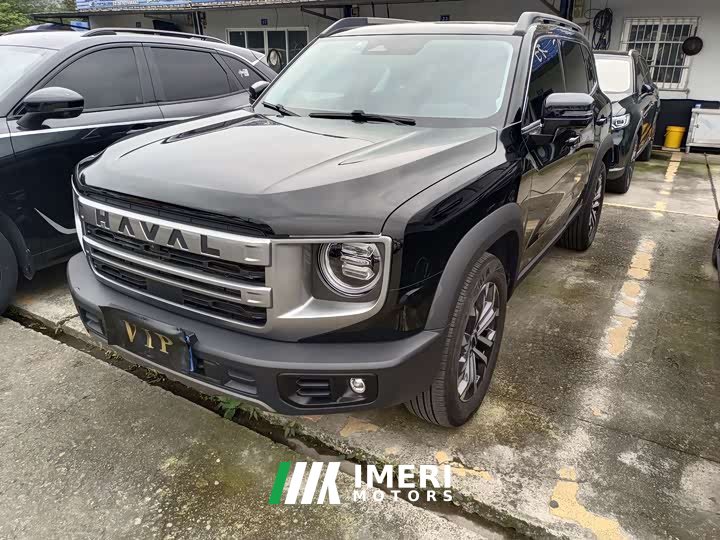 Great Wall Dachshund 2024 1.5T DCT Border Collie Edition - ავტომობილი ჩინეთიდან