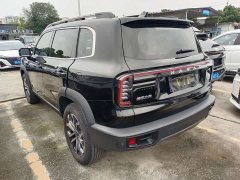 Great Wall Dachshund 2024 1.5T DCT Border Collie Edition - ფოტო 15