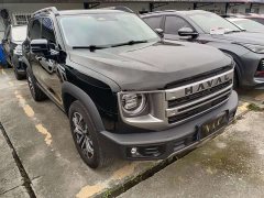 Great Wall Dachshund 2024 1.5T DCT Border Collie Edition - ფოტო 3