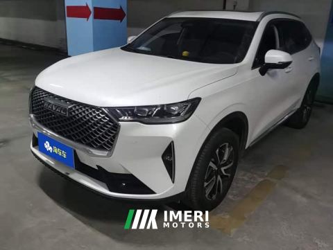 2023 Haval H6 Third Generation 1.5T Automatic Two-Wheel Drive Pro