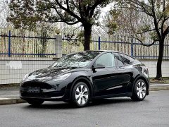 Tesla Model Y 2022 Rear-Wheel Drive - ფოტო 1