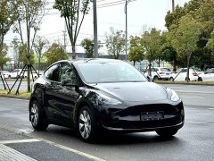 Tesla Model Y 2022 Rear-Wheel Drive - ფოტო 3