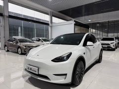 Tesla Model Y Rear-Wheel Drive - ფოტო 1