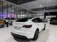 Tesla Model Y Rear-Wheel Drive - ფოტო 5