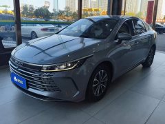 BYD Destroyer 05 Glory Edition DM-i 55KM Luxury - ფოტო 1
