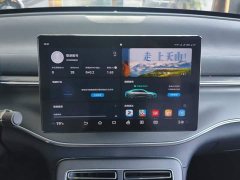 BYD Destroyer 05 Glory Edition DM-i 55KM Luxury - ფოტო 13