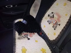 Geely Galaxy E5 2026 530km Explorer Edition - ფოტო 12