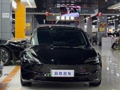 Tesla Model 3 2023 Rear-Wheel Drive - ფოტო 2