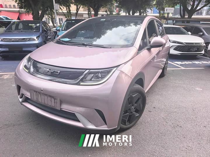 BYD Dolphin 405km Fashion Edition - ავტომობილი ჩინეთიდან