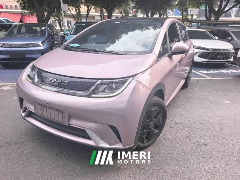 2023 BYD Dolphin 405km Fashion Edition - ავტომობილი ჩინეთიდან