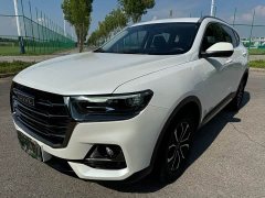 Haval H6 2021 1.5T Automatic Urban Edition - ფოტო 1