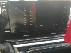 Geely Emgrand 4th Generation Champion Edition 1.5L Manual Luxury - ფოტო 13