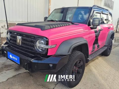 2021 Tank 300 Off-Road Edition 2.0T Conqueror - ავტომობილი ჩინეთიდან