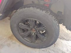 Tank 300 Off-Road Edition 2.0T Conqueror - ფოტო 6