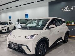BYD Seagull Glory Edition 405km Flying Edition - ფოტო 1