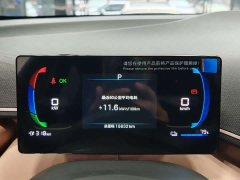 BYD Seagull Glory Edition 405km Flying Edition - ფოტო 13