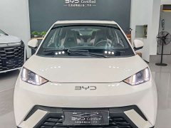 BYD Seagull Glory Edition 405km Flying Edition - ფოტო 2