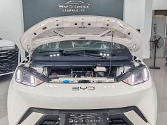 BYD Seagull Glory Edition 405km Flying Edition - ფოტო 3